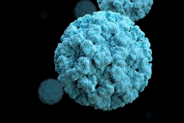 Norovirus Outbreak in the US