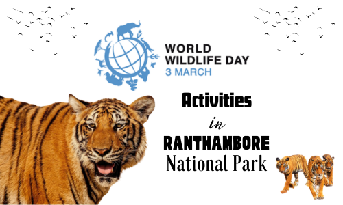 World Wildlife Day 2024 Activities in Ranthambore National Park