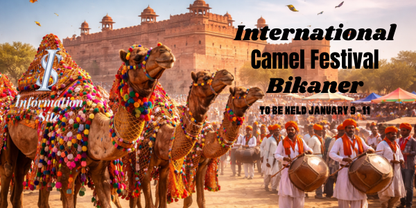 International Camel Festival